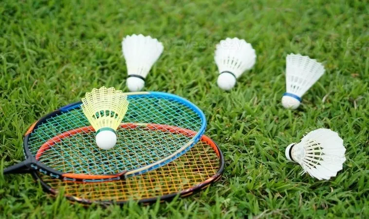 Cần tìm hiểu về bộ môn cầu lông tại TK88 trước khi cá cược